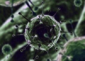 Bakterielle Mikroorganismen als Ursache für Prostatitis